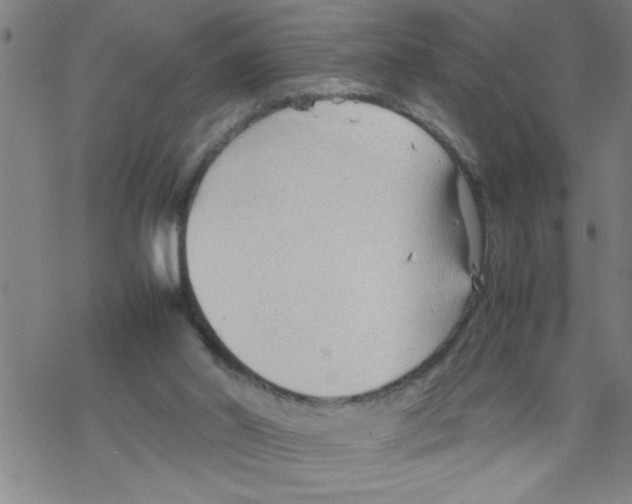 X0000067520014200605051906