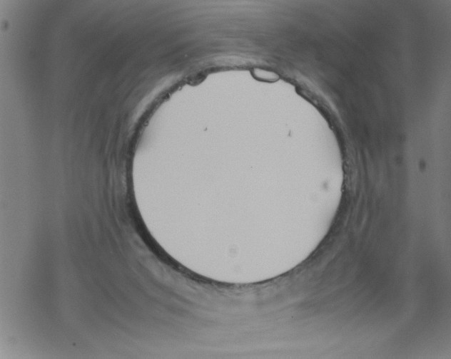 X0000067520015200605051906