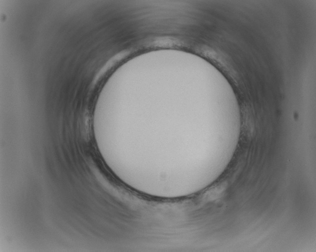 X0000067520016200605051906