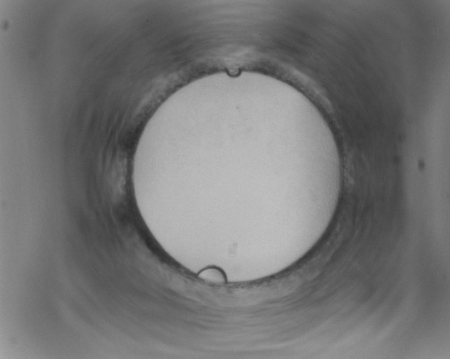 X0000067520018200605051906