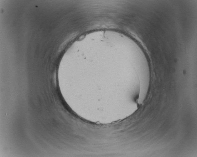 X0000067520019200605051906