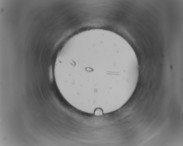 X0000067520020200605051906