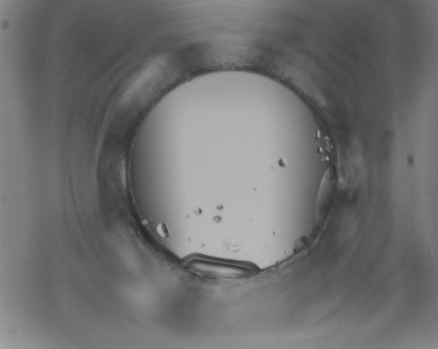 X0000067520021200605051906