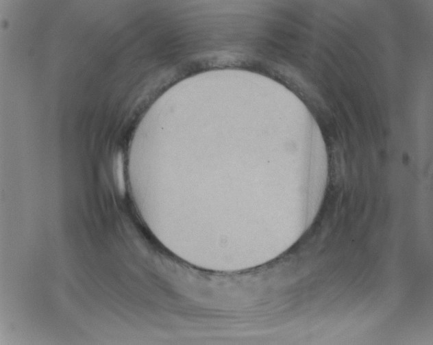 X0000067520022200605051906