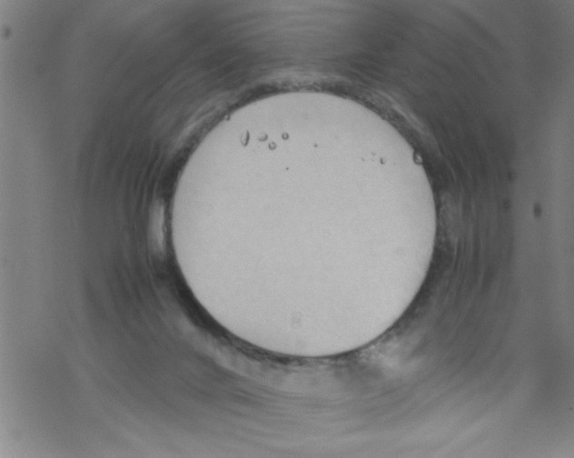 X0000067520024200605051906