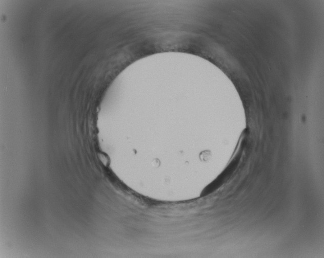 X0000067520025200605051906