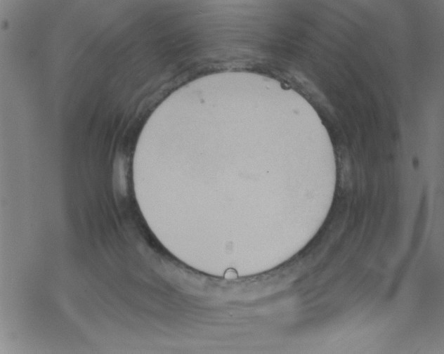 X0000067520026200605051906