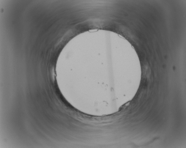 X0000067520027200605051906