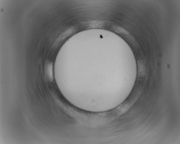 X0000067520028200605051906