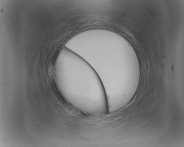 X0000067520029200605051906