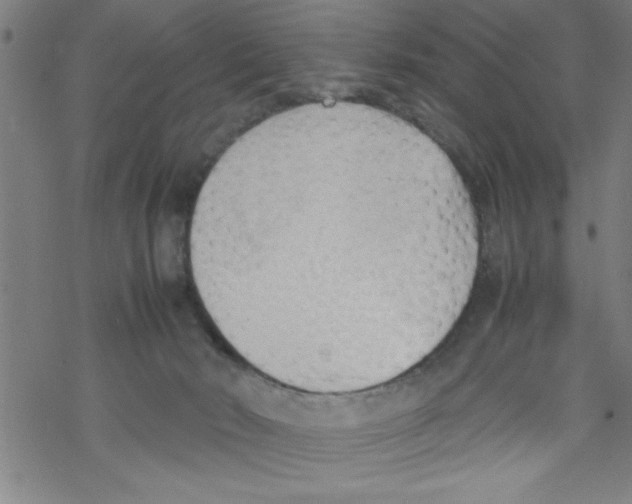 X0000067520030200605051906