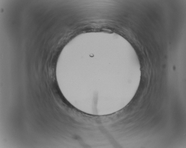 X0000067520031200605051906