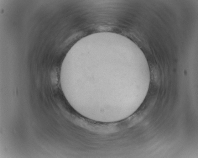 X0000067520032200605051906