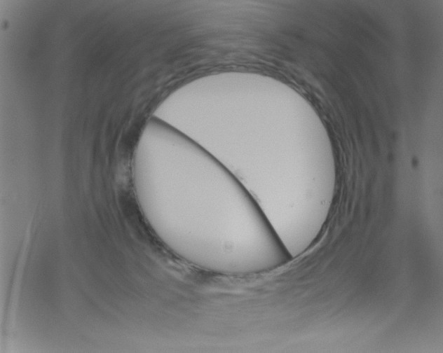 X0000067520033200605051906