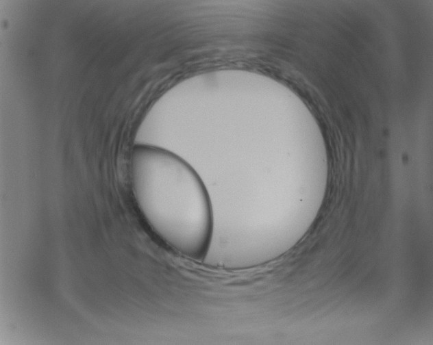 X0000067520035200605051906