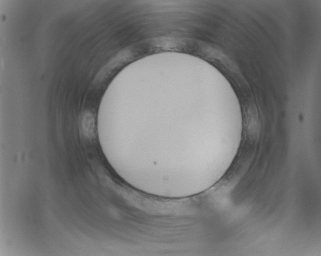 X0000067520036200605051906