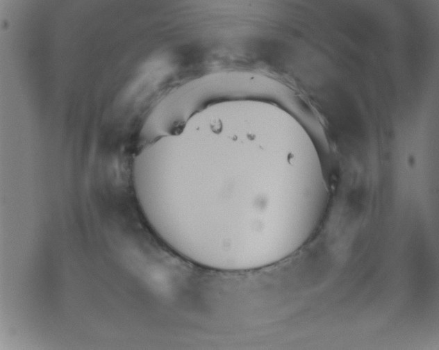 X0000067520037200605051906