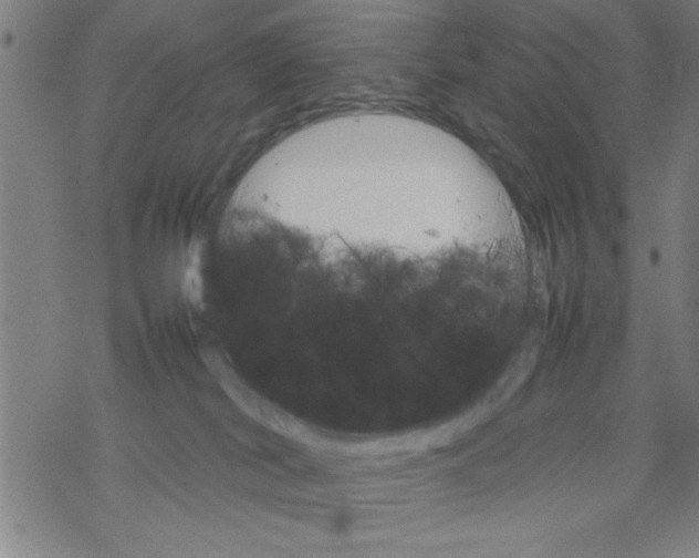 X0000067520038200605051906