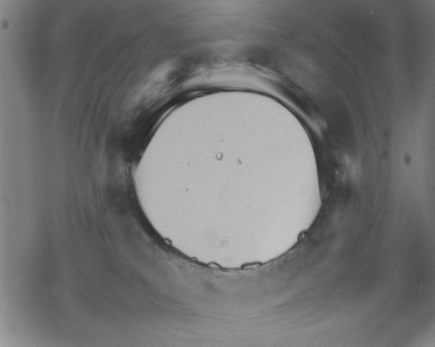 X0000067520039200605051905