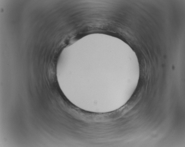 X0000067520040200605051905