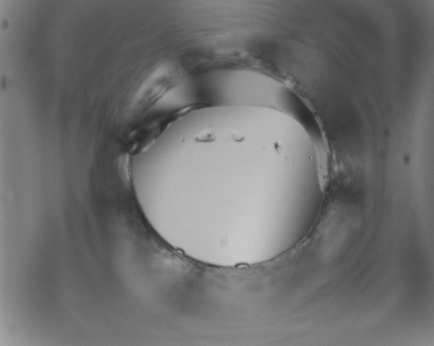 X0000067520041200605051905