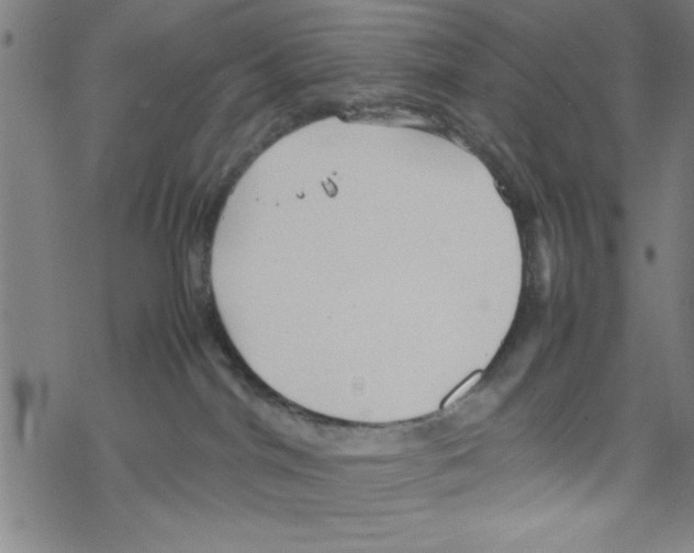 X0000067520044200605051905