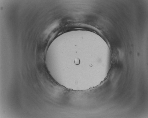 X0000067520045200605051905