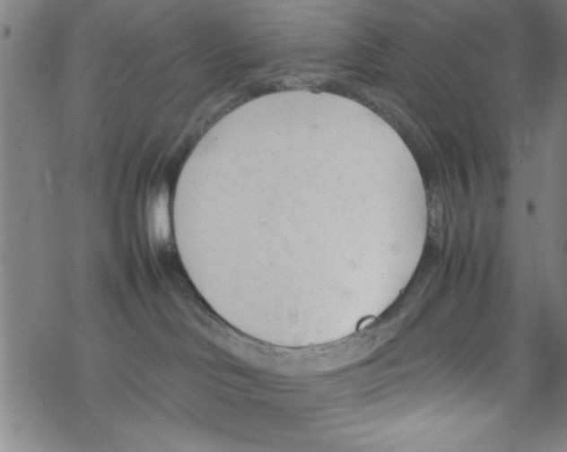 X0000067520046200605051905