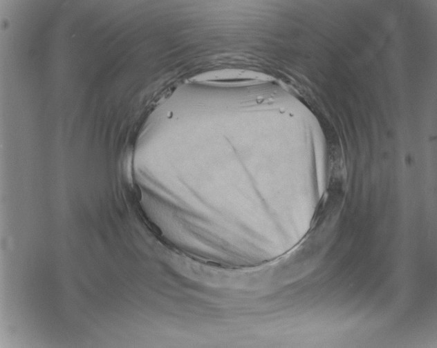 X0000067520047200605051905