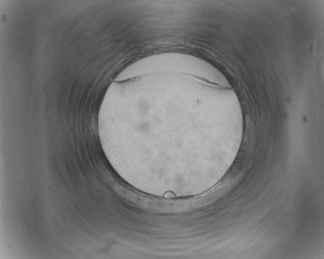 X0000067520048200605051905