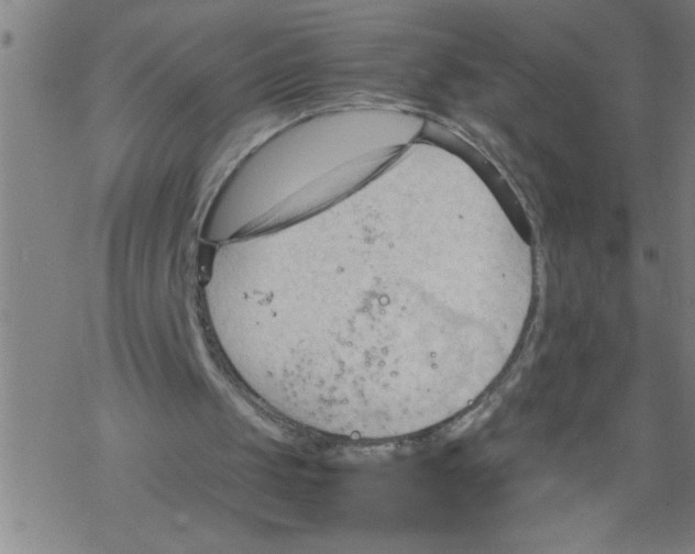 X0000067520049200605051905