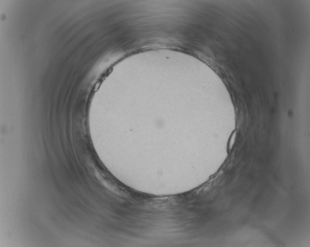 X0000067520050200605051905