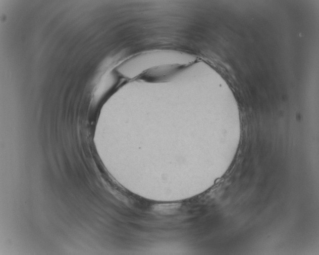 X0000067520051200605051905