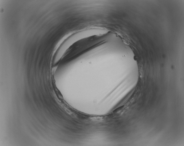 X0000067520052200605051905