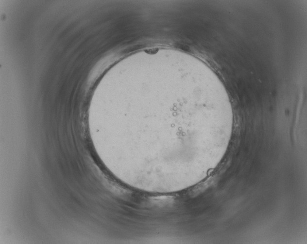 X0000067520053200605051905