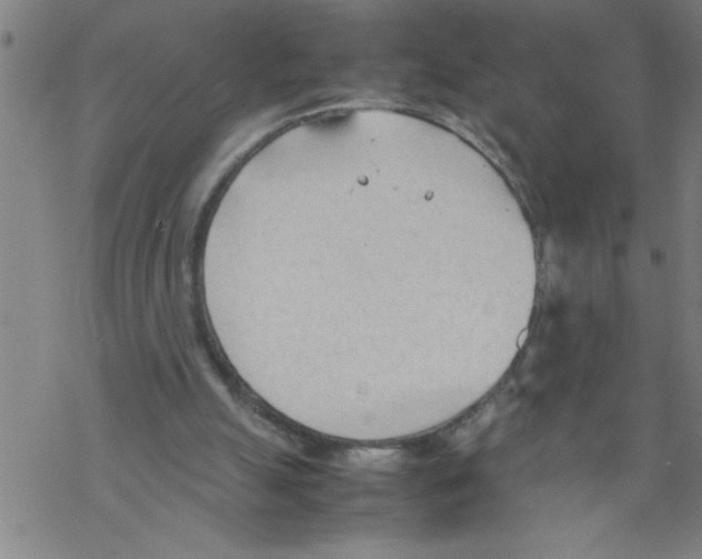 X0000067520055200605051905