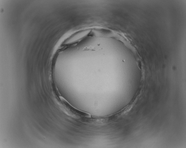 X0000067520056200605051905