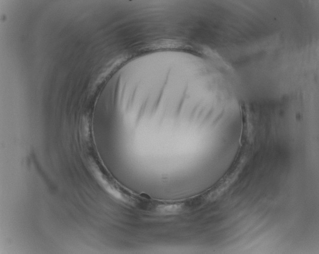 X0000067520057200605051905