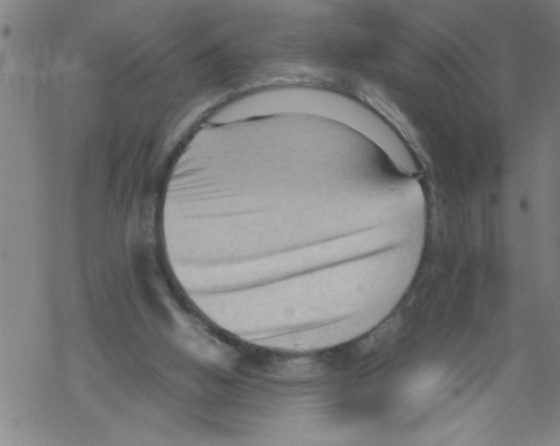 X0000067520058200605051905