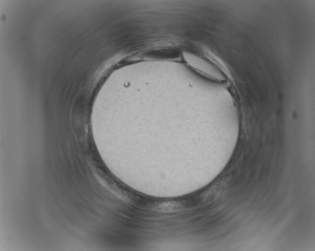 X0000067520059200605051905