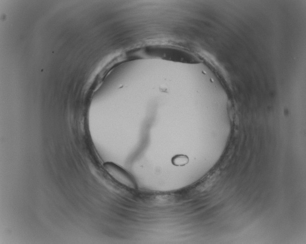 X0000067520060200605051905