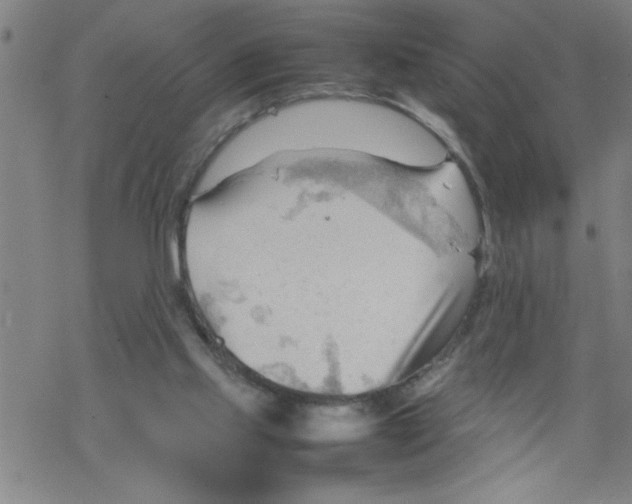 X0000067520061200605051905