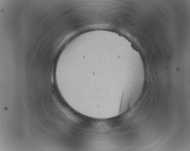 X0000067520062200605051905