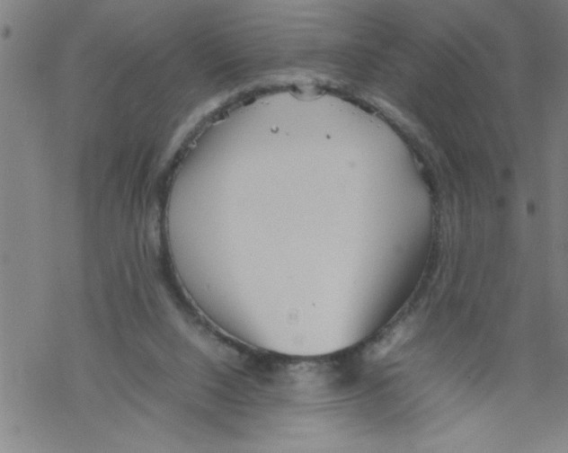 X0000067520064200605051905