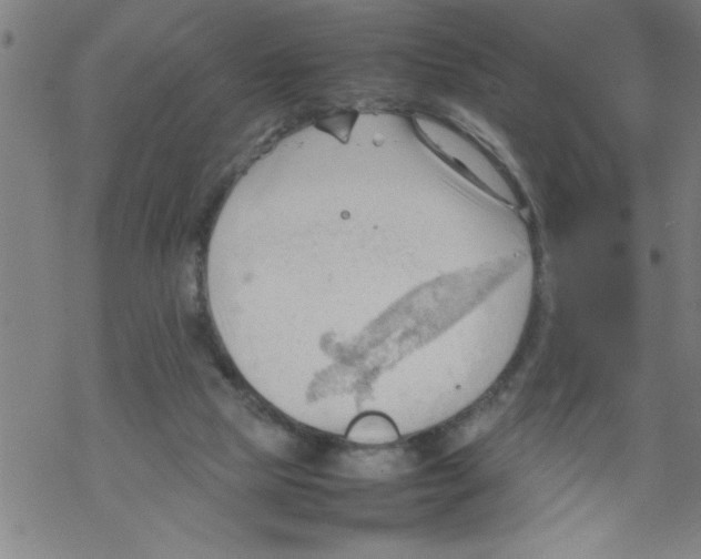 X0000067520065200605051905