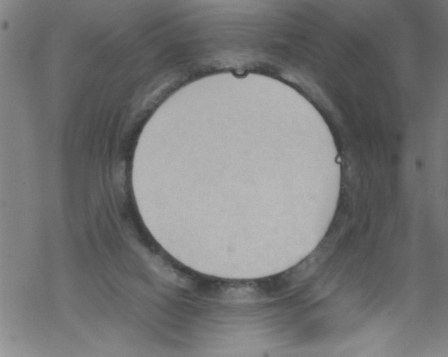 X0000067520066200605051905