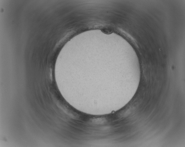 X0000067520067200605051905