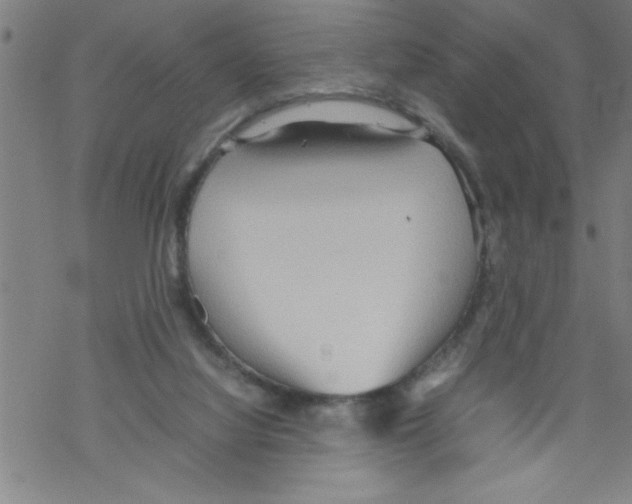 X0000067520068200605051905