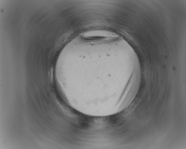 X0000067520070200605051905