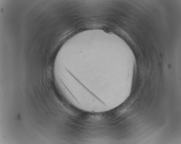 X0000067520071200605051905